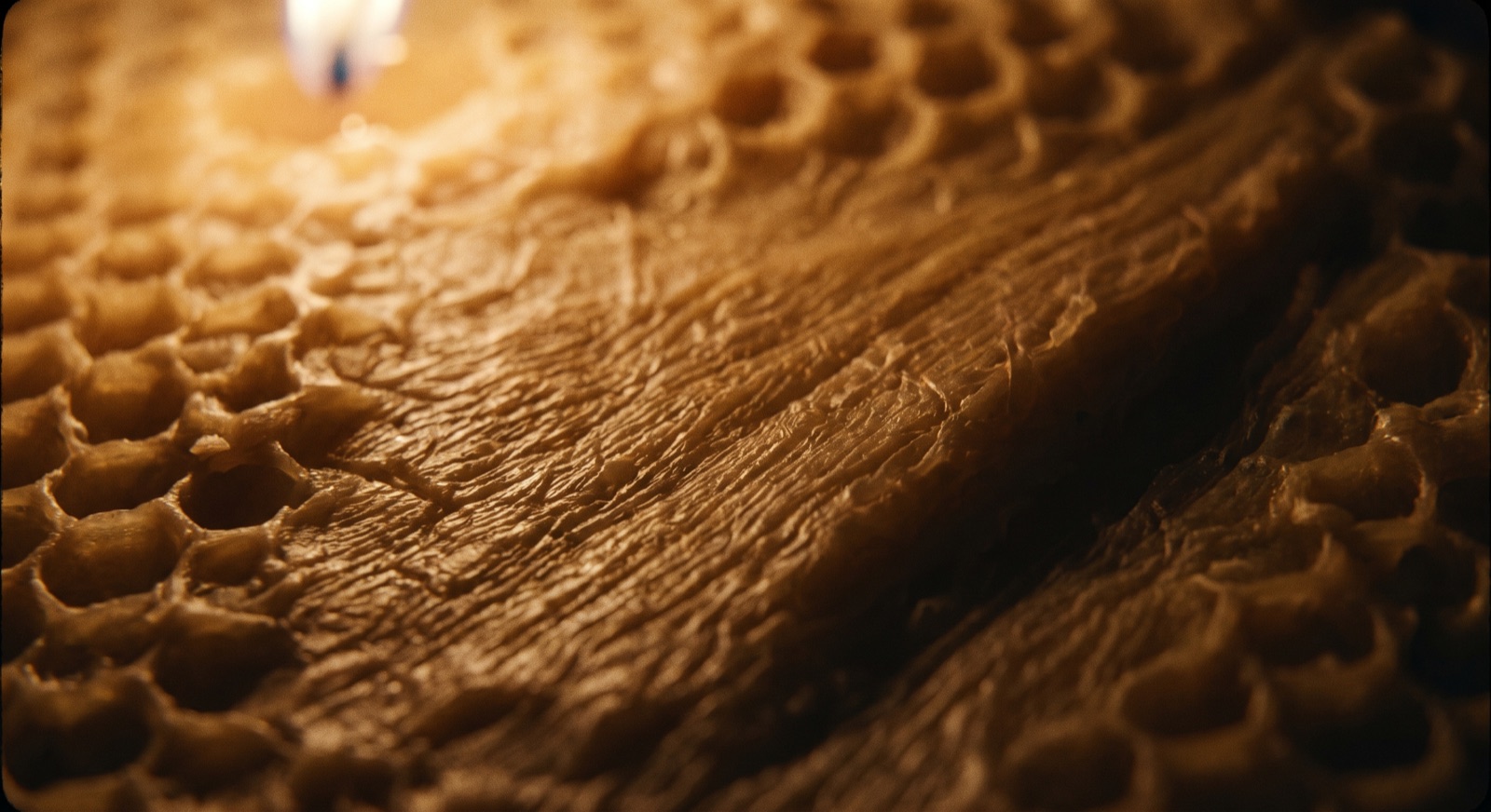Macro of raw beeswax texture